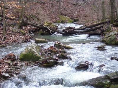 Property in Newton County, Arkansas