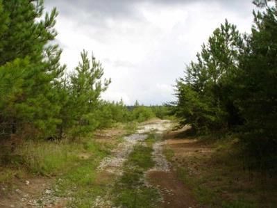 Property in Morgan County, Tennessee