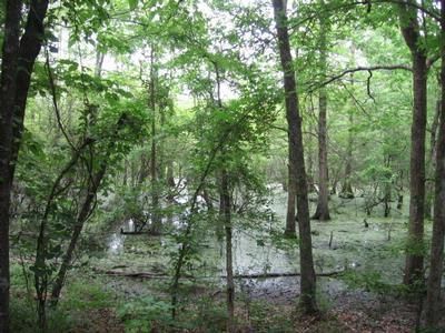 Property in Lincoln County, Arkansas