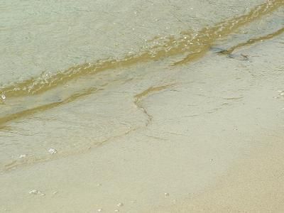 Property in Luce County, Michigan