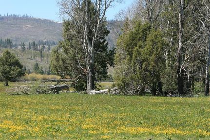 Property in Lake County, Oregon