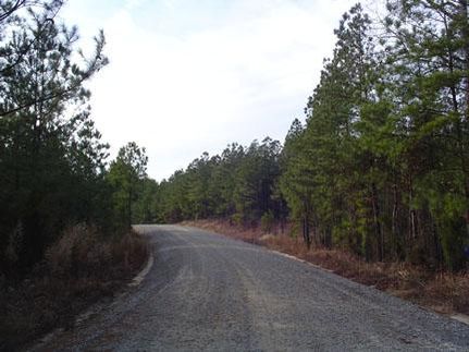Property in Fairfield County, South Carolina