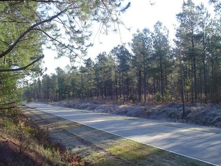 Property in Marlboro County, South Carolina