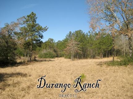 Property in Grimes County, Texas