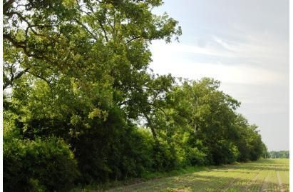 Property in Phillips County, Arkansas