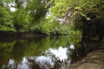 Property in Tattnall County, Georgia