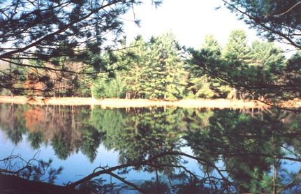 Property in Jackson County, Wisconsin