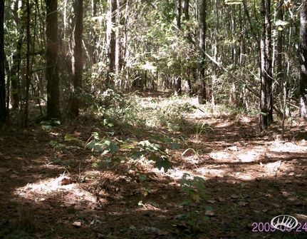 Property in Franklin County, Mississippi