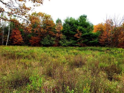 Property in Schoharie County, New York