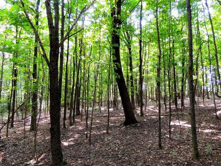 Property in Herkimer County, New York