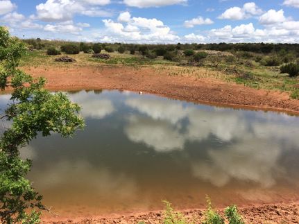 Property in Motley County, Texas