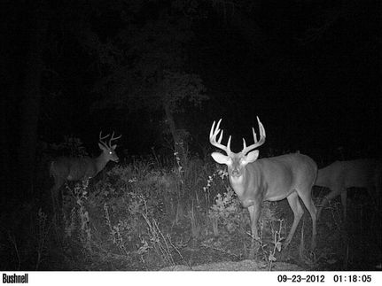 Property in Love County, Oklahoma