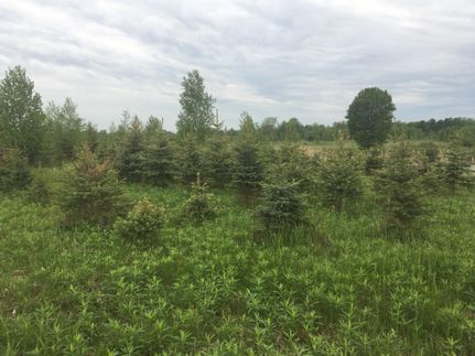 Property in Saint Lawrence County, New York