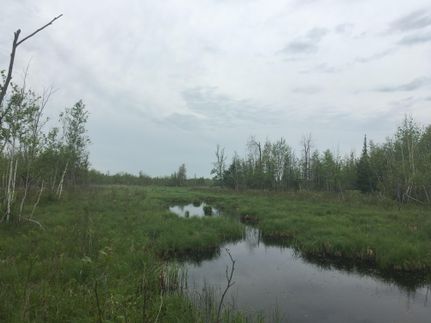 Property in Saint Lawrence County, New York