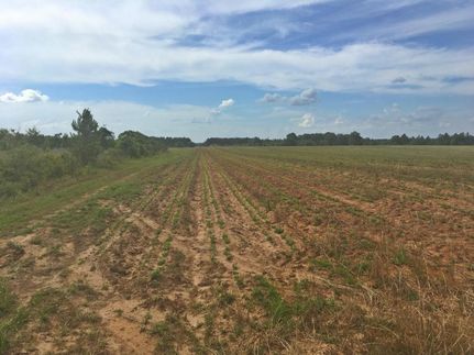 Property in Baldwin County, Alabama