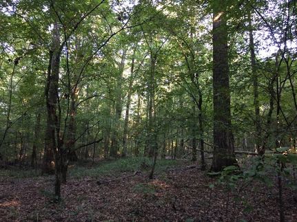 Property in Drew County, Arkansas