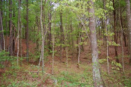 Property in Sequatchie County, Tennessee