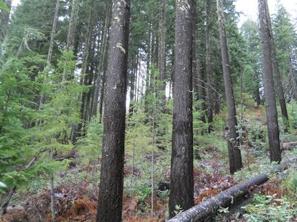 Property in Jackson County, Oregon