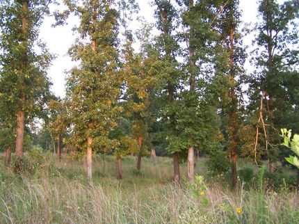 Property in Madison County, Arkansas