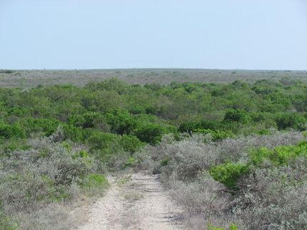 Property in Val Verde County, Texas