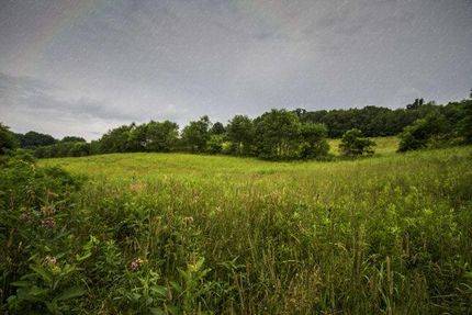 Property in Bland County, Virginia