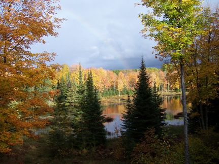 Property in Vilas County, Wisconsin