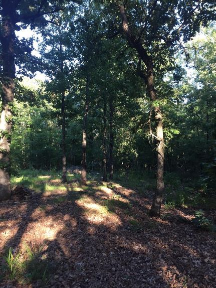 Property in Red River County, Texas