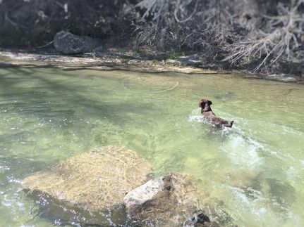 Property in Coryell County, Texas