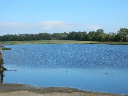 Property in Red River County, Texas