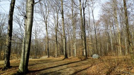 Property in Lapeer County, Michigan