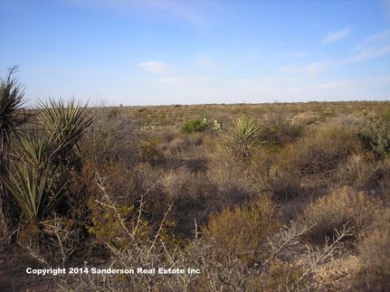 Property in Terrell County, Texas