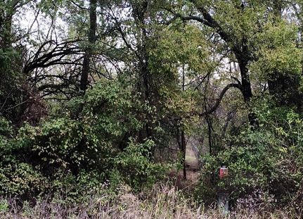 Property in Hopkins County, Texas