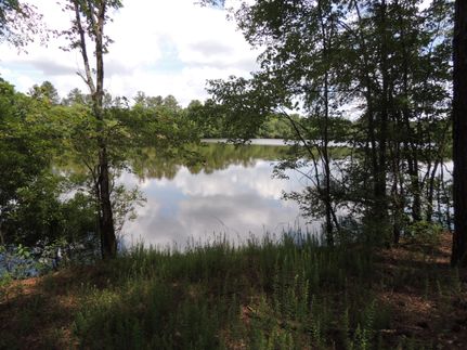 Property in Florence County, South Carolina