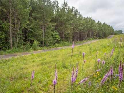 Property in Sequatchie County, Tennessee