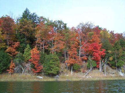 Property in Jefferson County, New York