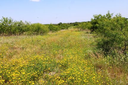 Property in Cottle County, Texas