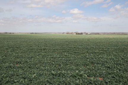 Property in Caddo County, Oklahoma