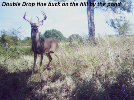 Property in Grimes County, Texas