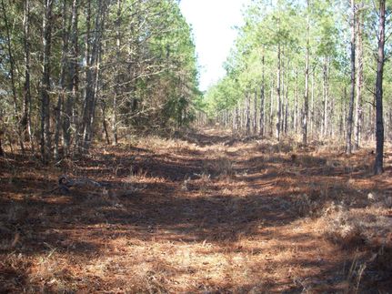 Property in Emanuel County, Georgia