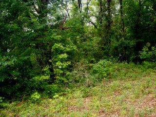 Property in Pike County, Alabama