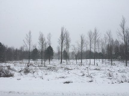 Property in Saint Lawrence County, New York