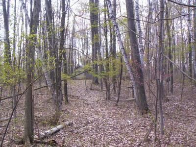 Property in Tuscola County, Michigan