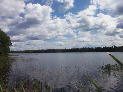 Property in Vilas County, Wisconsin