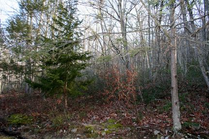 Property in Highland County, Virginia