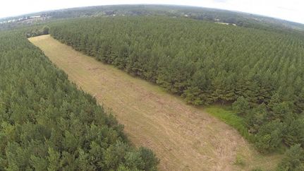 Property in Crenshaw County, Alabama