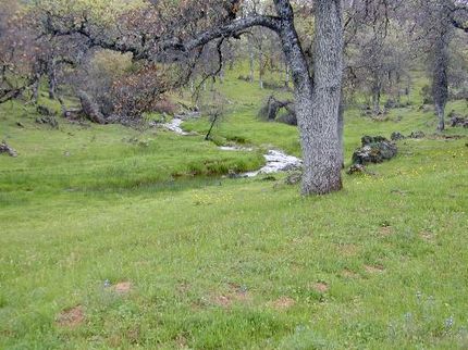 Property in Butte County, California