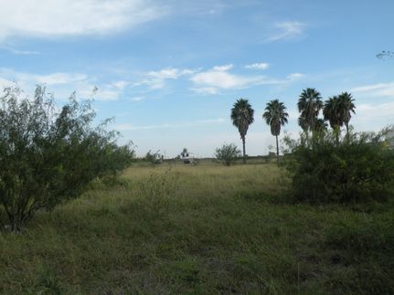 Property in Hidalgo County, Texas