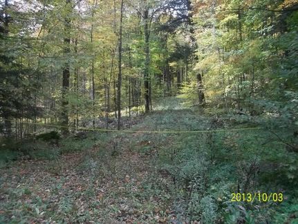 Property in Langlade County, Wisconsin