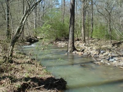 Property in Etowah County, Alabama