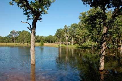 Property in Bastrop County, Texas